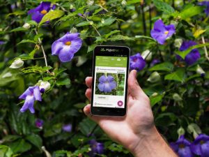Navegue Sem Internet com GPS Inteligente