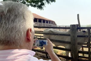 App gratuite per pesare il bestiame