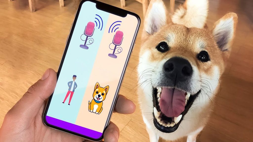 Aplicaciones para traducir los ladridos de tu perro
