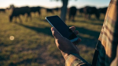 Hectare, Alqueire e Metro Quadrado: Como Converter sem Errar