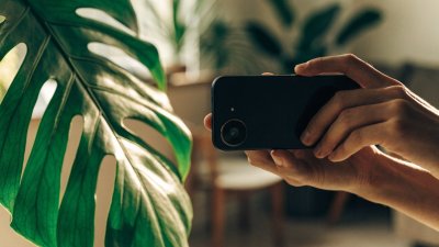 Celular apontado para a folha de uma costela-de-adao