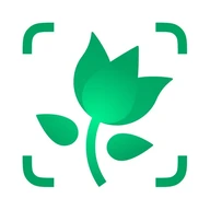 图片这个
